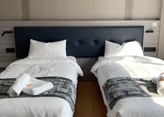 Mooncity & Boardinghouse *